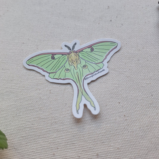 Waterproof Sticker - Luna Moth