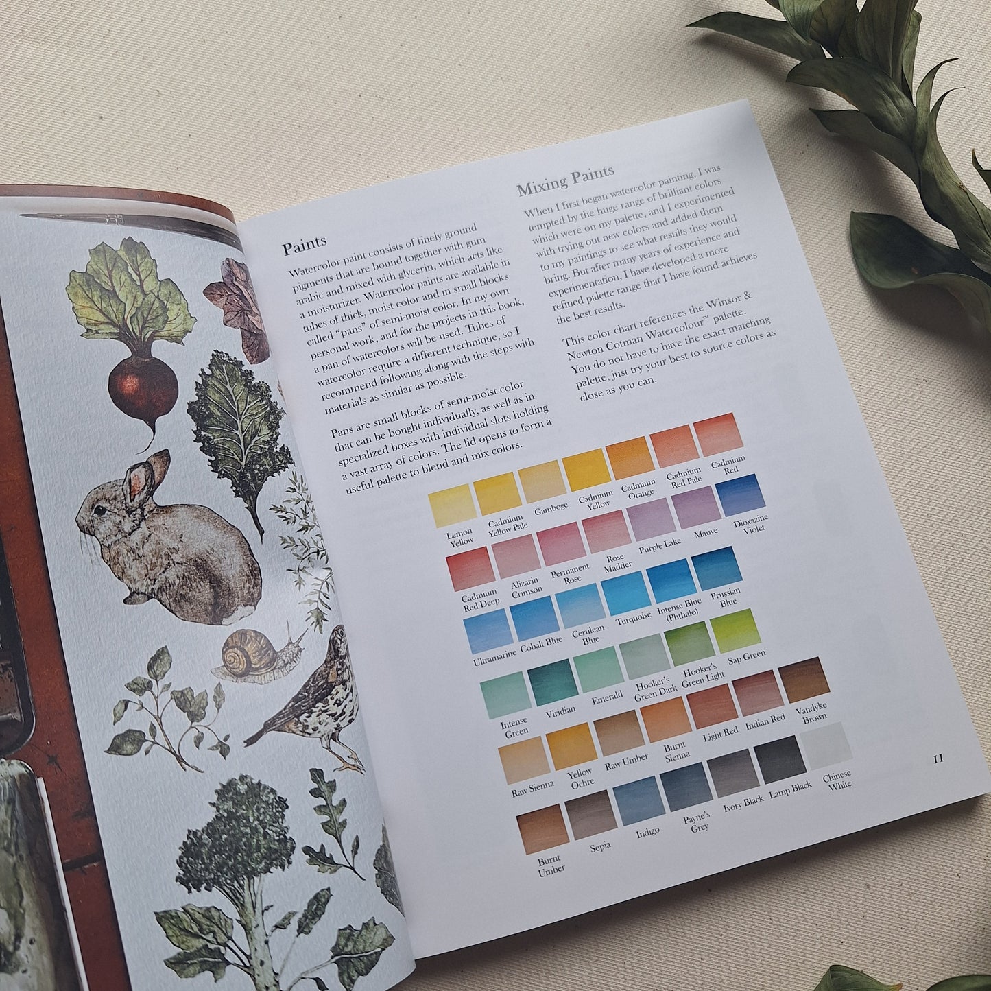 Watercolor Book - Watercolor in the Woods