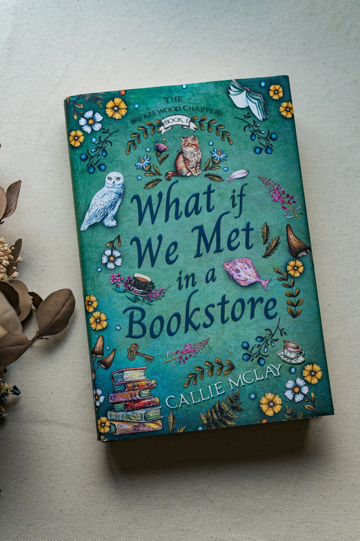 What If We Met In A Bookstore - Book 1 - Signed Paperback
