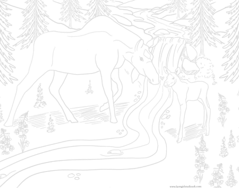 Alaska Moose & Bear Watercolor Pages - Printable Template