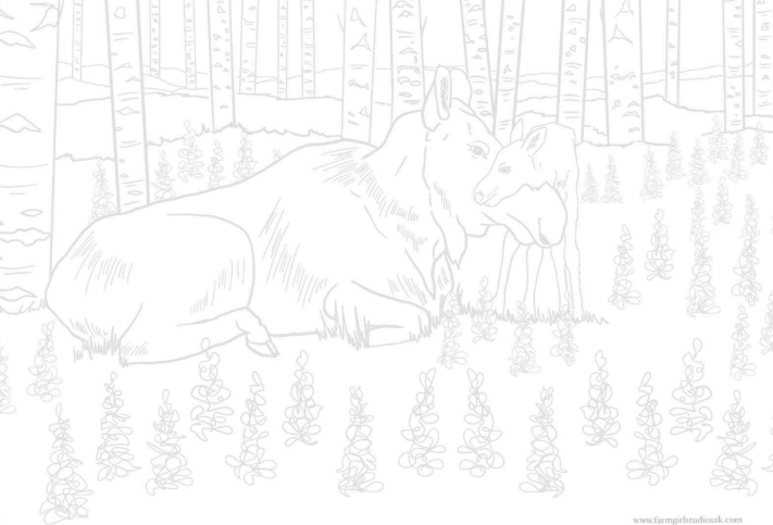 Alaska Moose & Bear Watercolor Pages - Printable Template