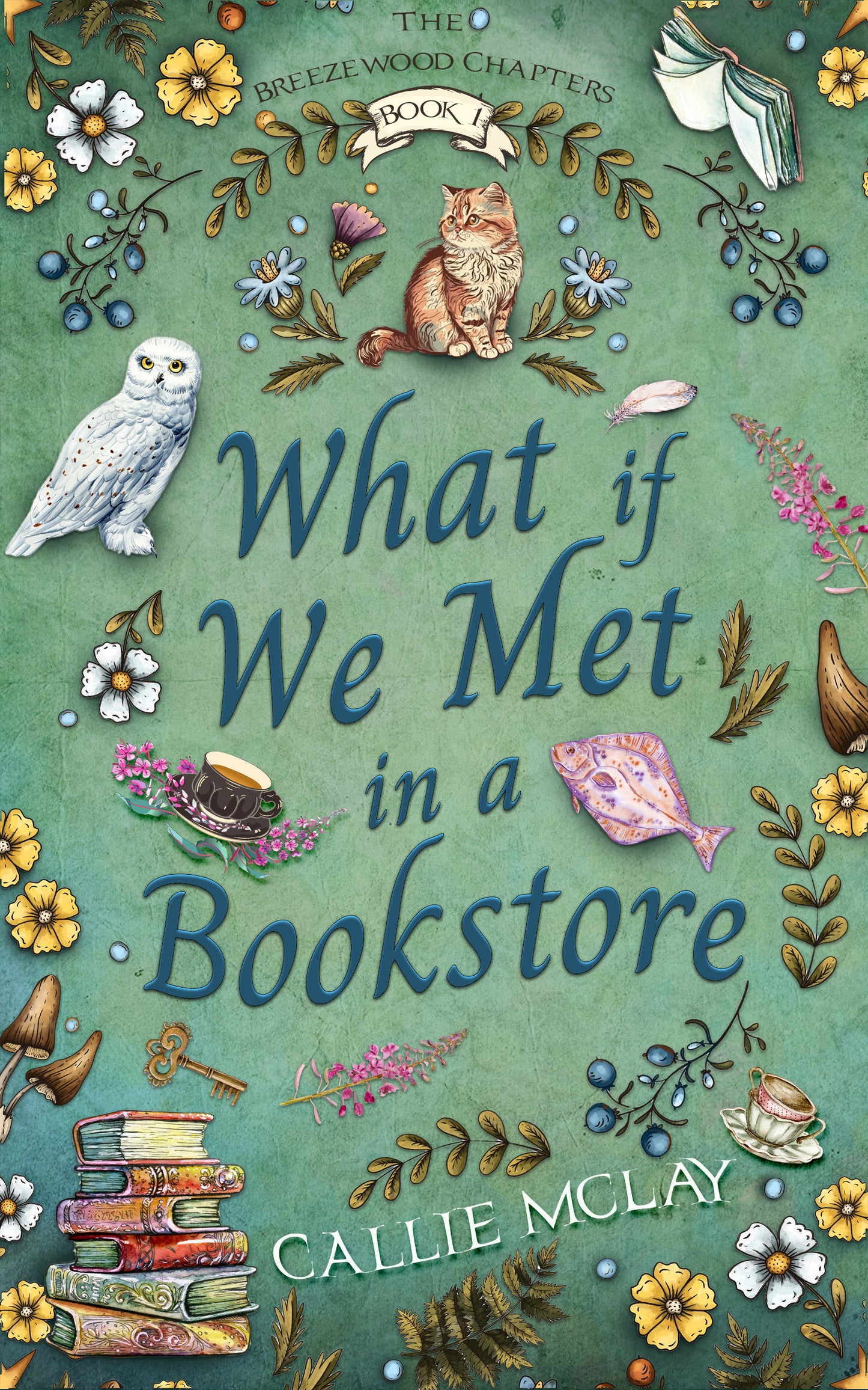 What If We Met In A Bookstore - Book 1 - Signed Paperback