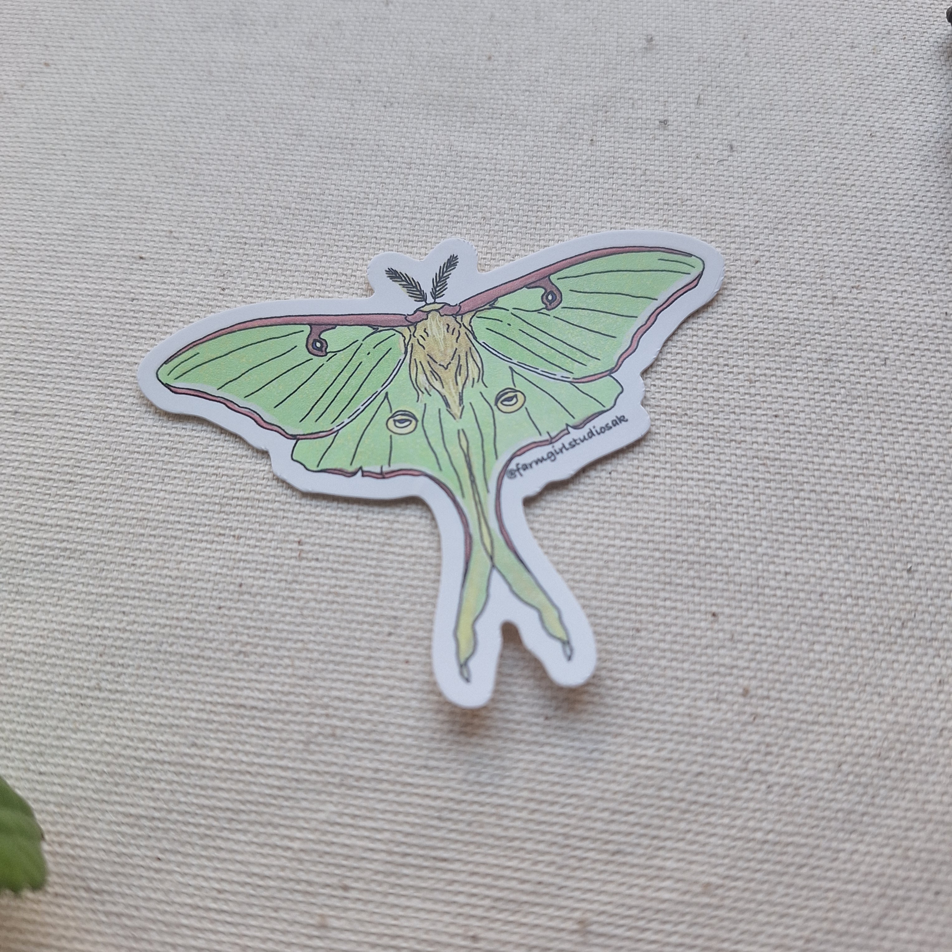 Luna Moth Sticker Waterproof Sticker - Luna Moth – Farmgirl Studios