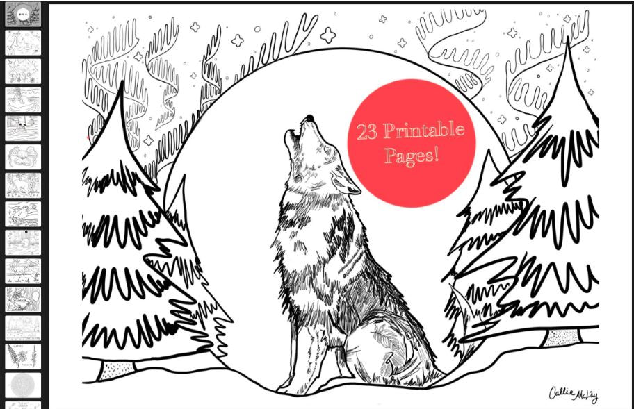 23 Page Printable Alaska Coloring Book