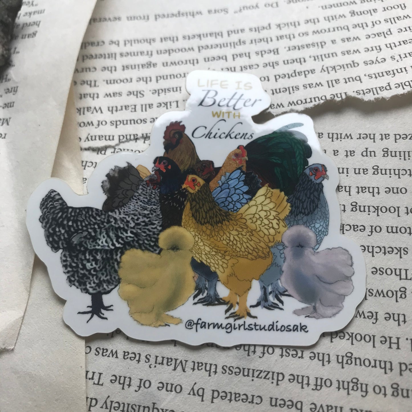 Chicken Quote Waterproof Sticker up close