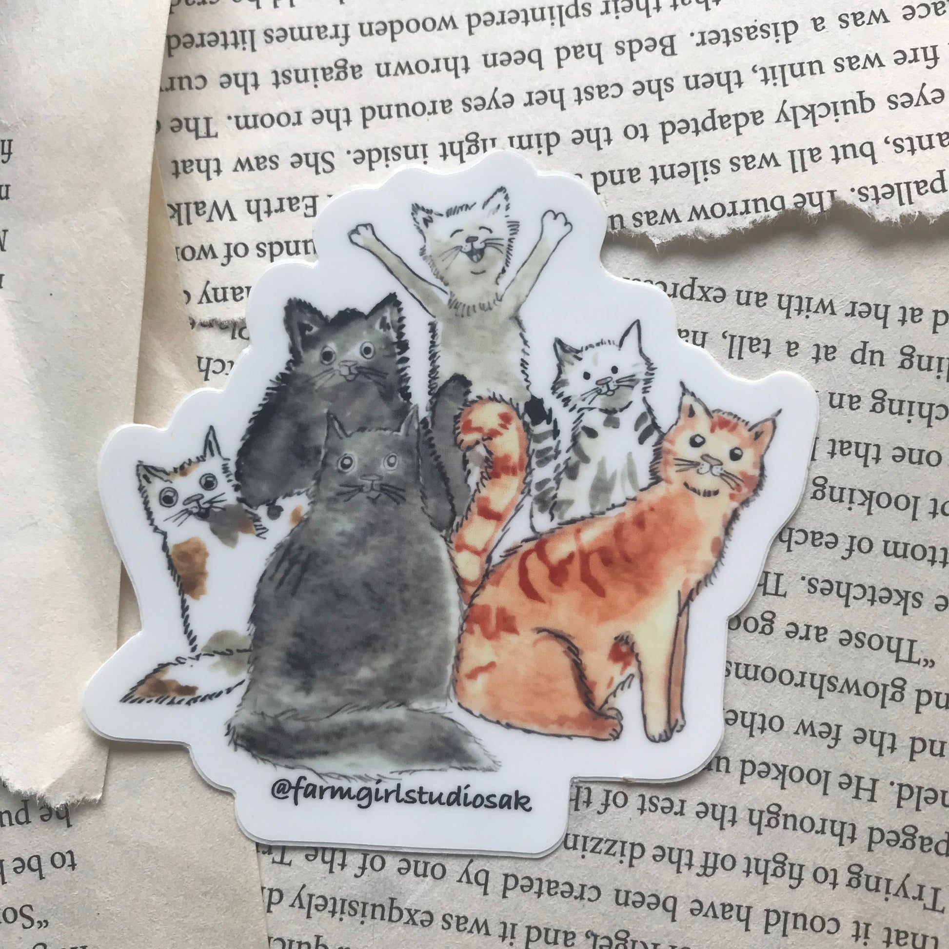 Cats Waterproof Sticker close up