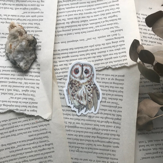 Owl Waterproof Sticker