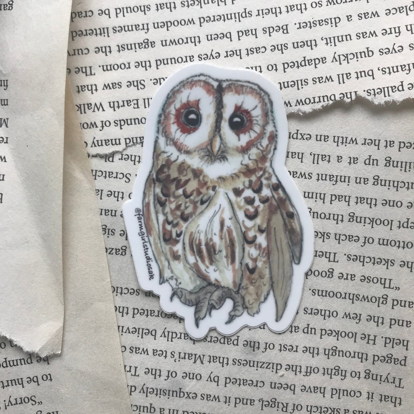 Owl Waterproof Sticker