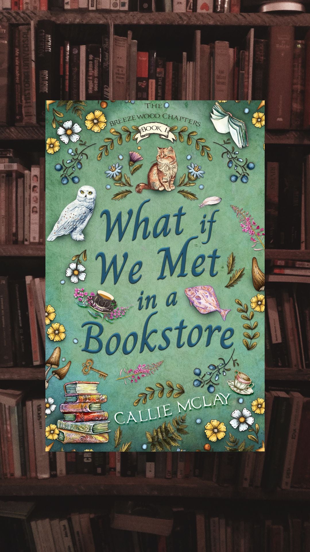 What If We Met In A Bookstore - Book 1 - Hardcover