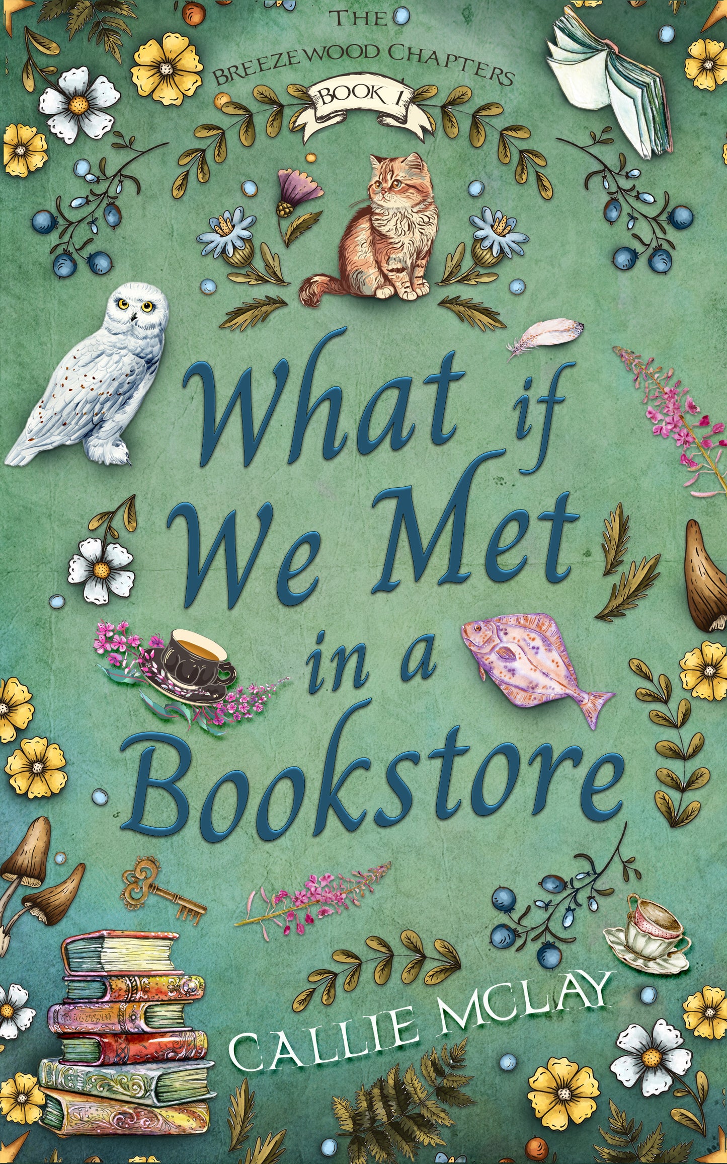 What If We Met In A Bookstore - Book 1 - Paperback