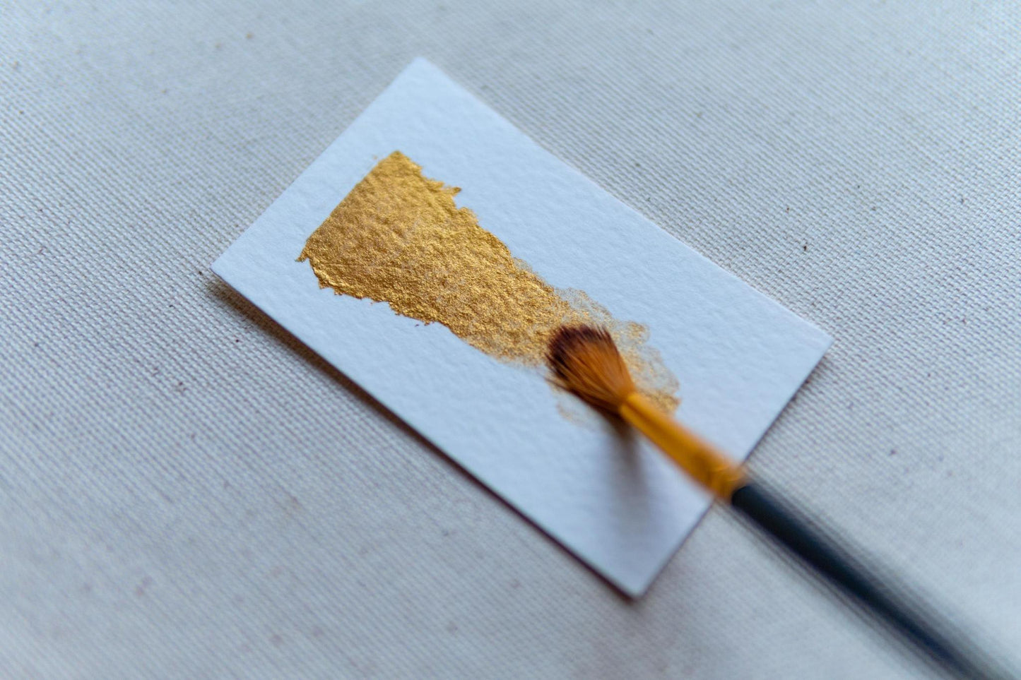 12 Pack Watercolor Brushes